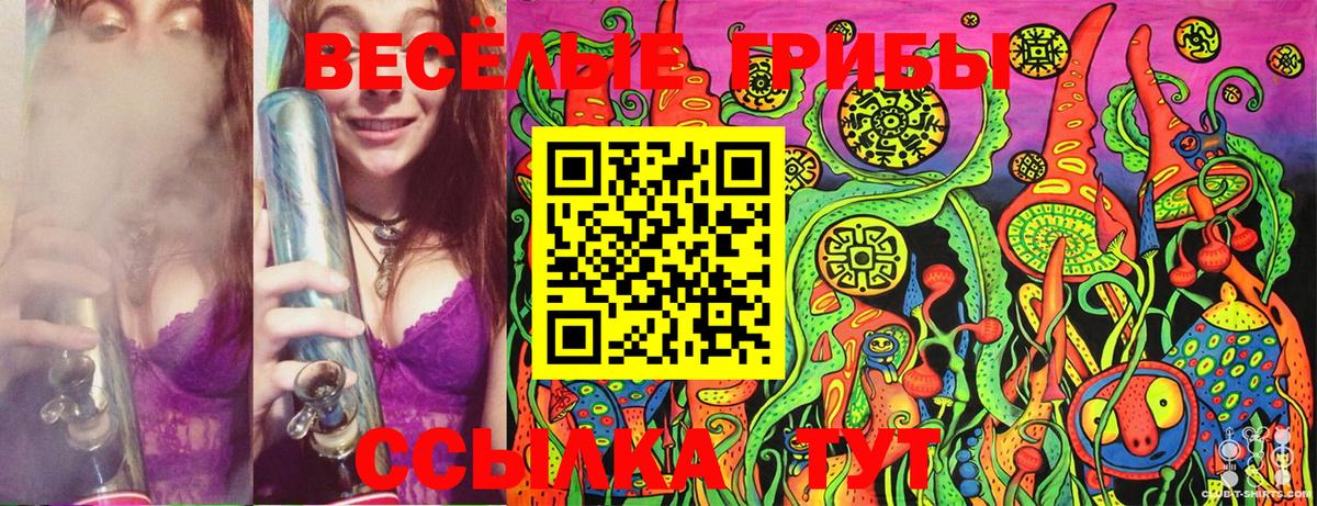 Псилоцибиновые грибы Psilocybine cubensis Асбест