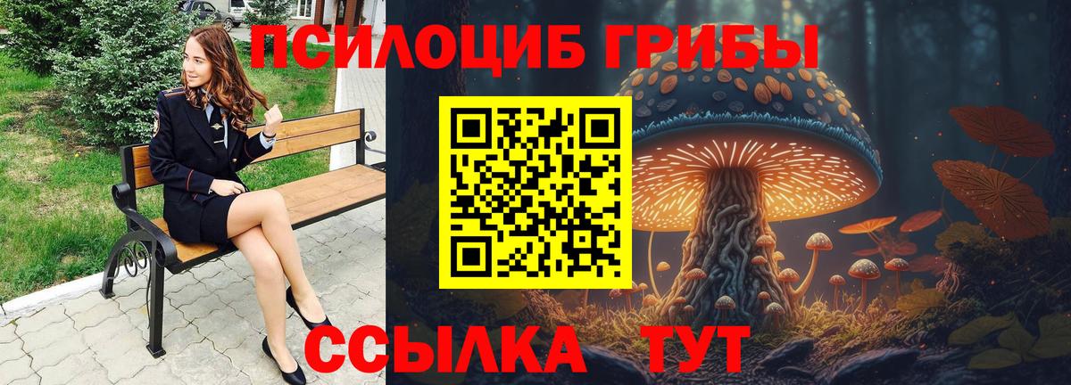Псилоцибиновые грибы MAGIC MUSHROOMS  Вход с VPN  Псилоцибиновые грибы прущие грибы  Асбест 